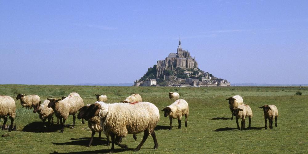 Chambres D'Hotes Avec Piscine Aux Agapanthes De Cromel - Mont Saint Michel Экстерьер фото